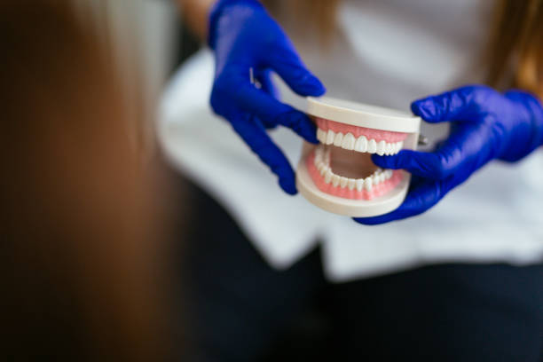 Best Traditional Braces  in Highwood, IL